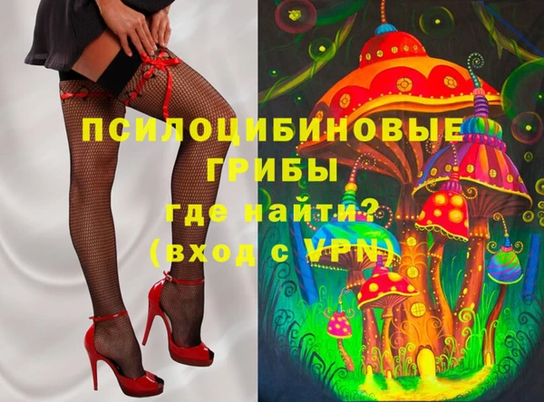 первитин Алексин
