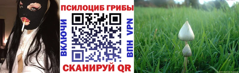 продажа наркотиков  Пикалёво  Галлюциногенные грибы мухоморы 